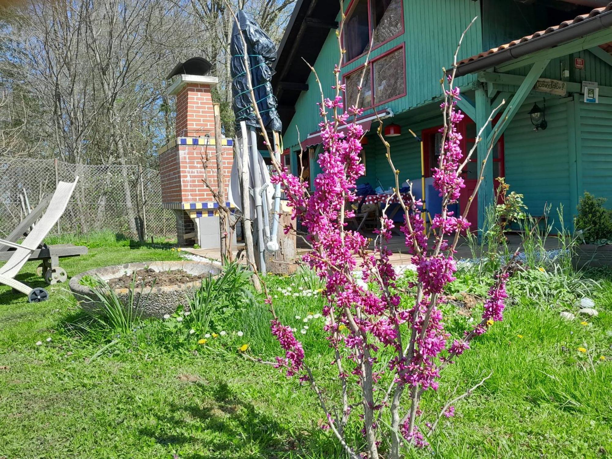 Fairytale Wooden House By Ljubljana Villa Grosuplje Kültér fotó